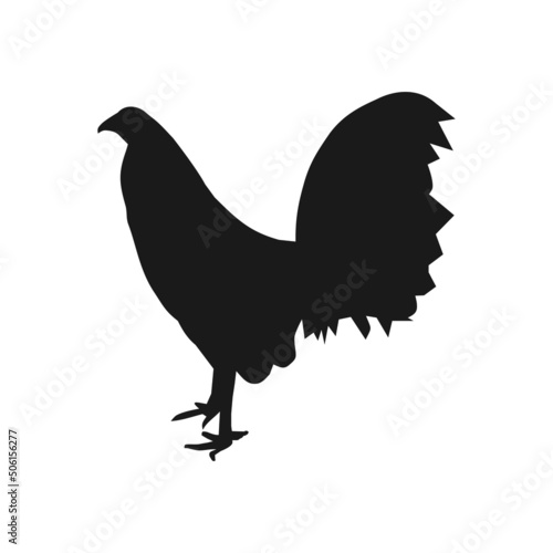 Chicken vector illustration with silhouette. Isolated on white background.  photo