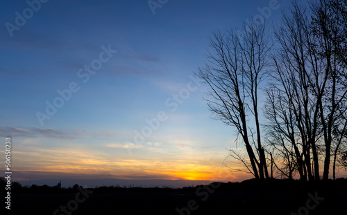 Silhouette of tall trees against sunset sky background