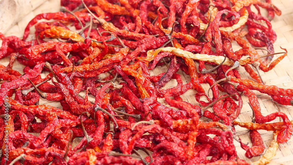 dried red chili background to dry dried red chili background to dry