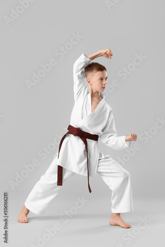 Boy practicing karate on li...