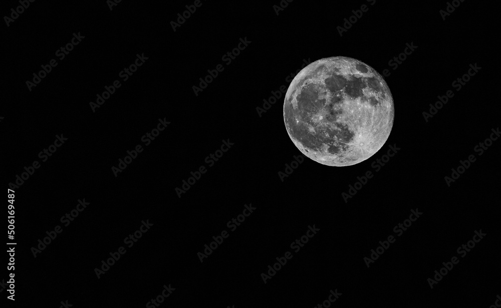 Obraz premium Super Flower Blood Moon at 16 May 2022