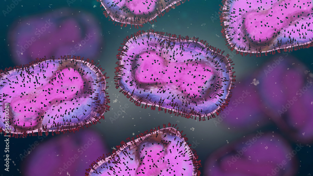 Monkeypox viruses, infectious zoonotic disease