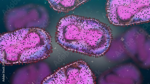 canvas print motiv - dottedyeti : Monkeypox viruses, infectious zoonotic disease 