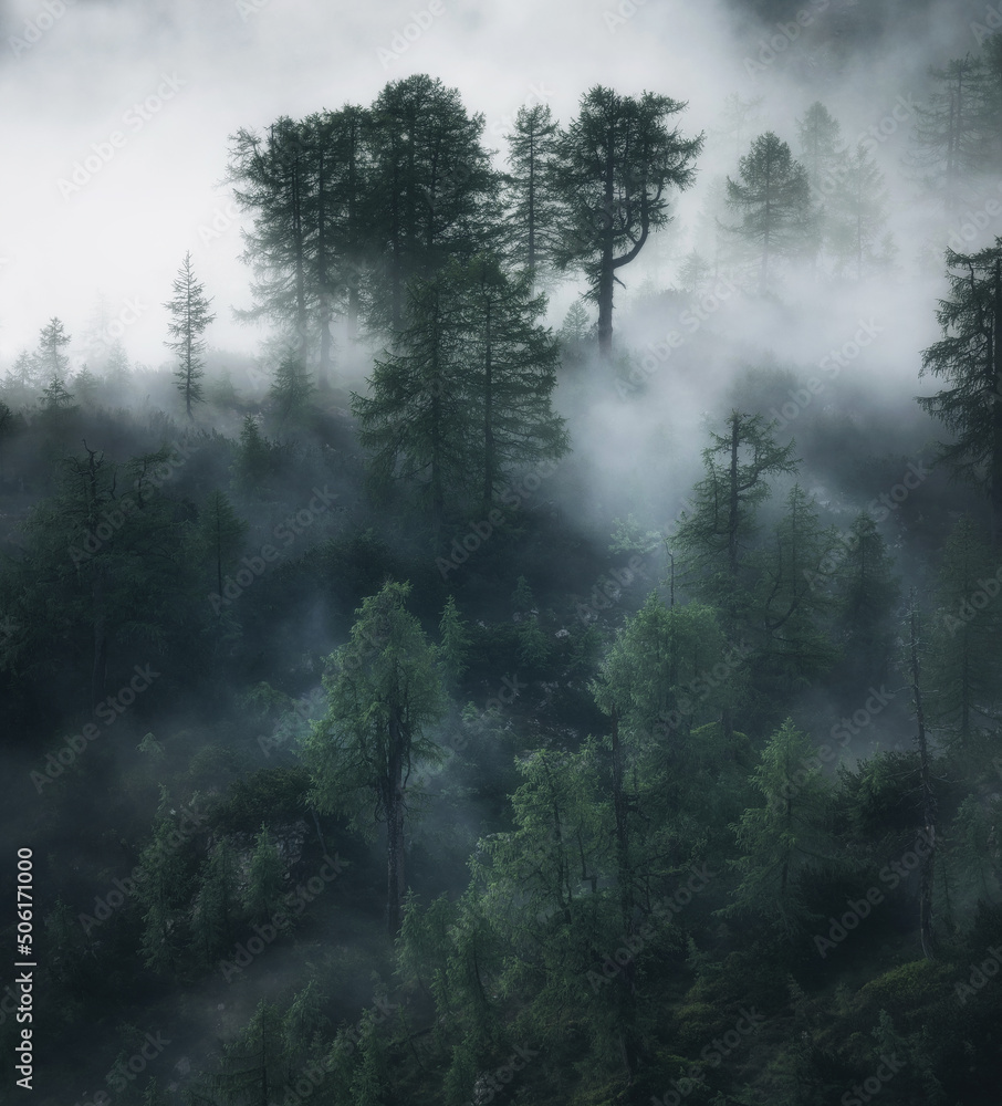 Vivid sunrise in the mountains with fog in the valley. Fog rolled through the valleys below the hills. Vivid sunrise in the mountains with fog in the valley. Fog rolled through the valleys below the hills.
