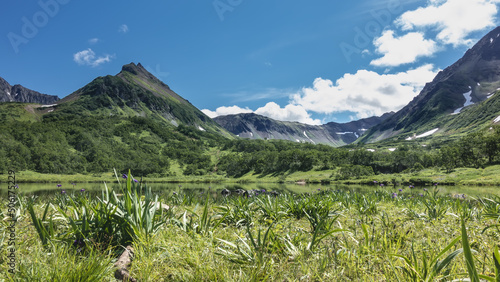 The lake on the alpine meadow is surrounded by picturesque mountains. On the shore there is lush green grass, blooming purple irises. Blue sky with clouds. Kamchatka. Vachkazhets. Lake Tahkoloch photo