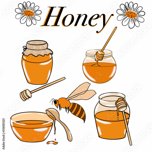 honey,sweetness,apiary,bees,bees collect honey,bee products,jars of honey,a bowl of honey,flowers,nectar,bees collect nectar,yellow,honey,honey inscription,picture,illustration for commercial use,illu