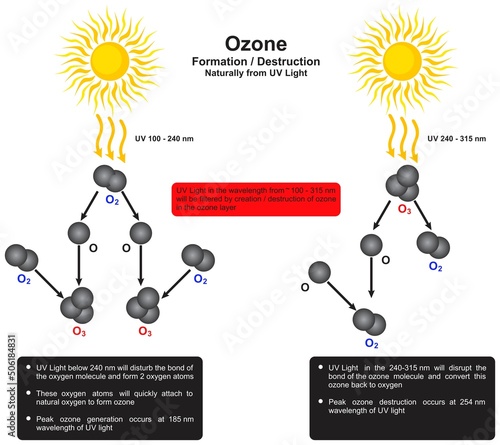 Ozone formation destruction naturally from UV light infographic diagram chemistry science education layer oxygen bond type sunlight formula vector chart illustration scheme chemical reaction
