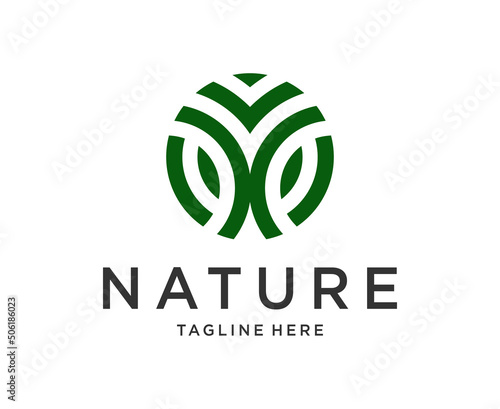 Abstract Tree Oak Banyan Maple logo design vector template 