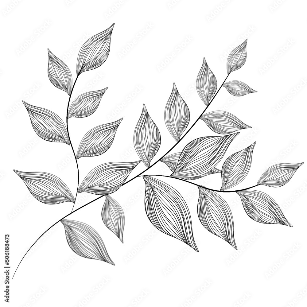 Line art with beautiful plants and flowers. Realistic plant in line art style. Beautiful background,template,wallpaper with line art. Unusual plants and flowers Line art with beautiful plants and flowers. Realistic plant in line art style. Beautiful background,template,wallpaper with line art. Unusual plants and flowers