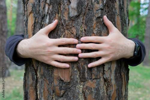 Man hugging a tree trunk in a forest