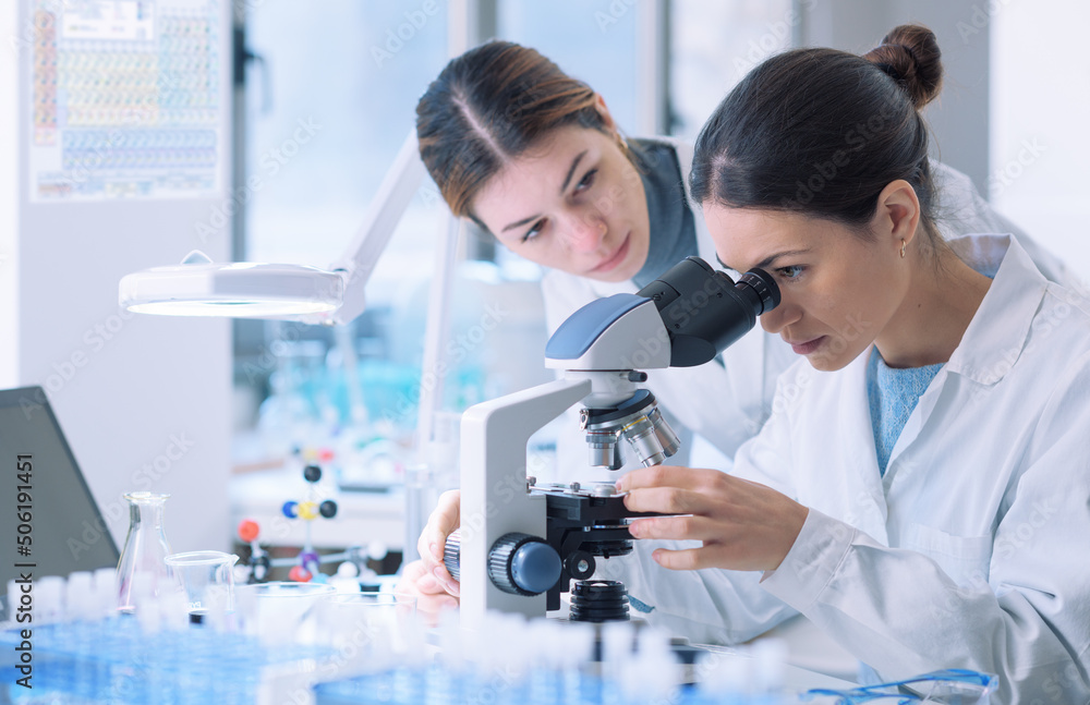 Young researchers working together in the lab Young researchers working together in the lab