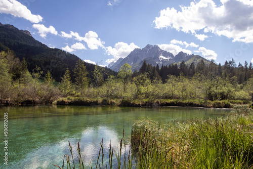 Zelenci See vor dem Alpenpanorama in Slowenien © Boris
