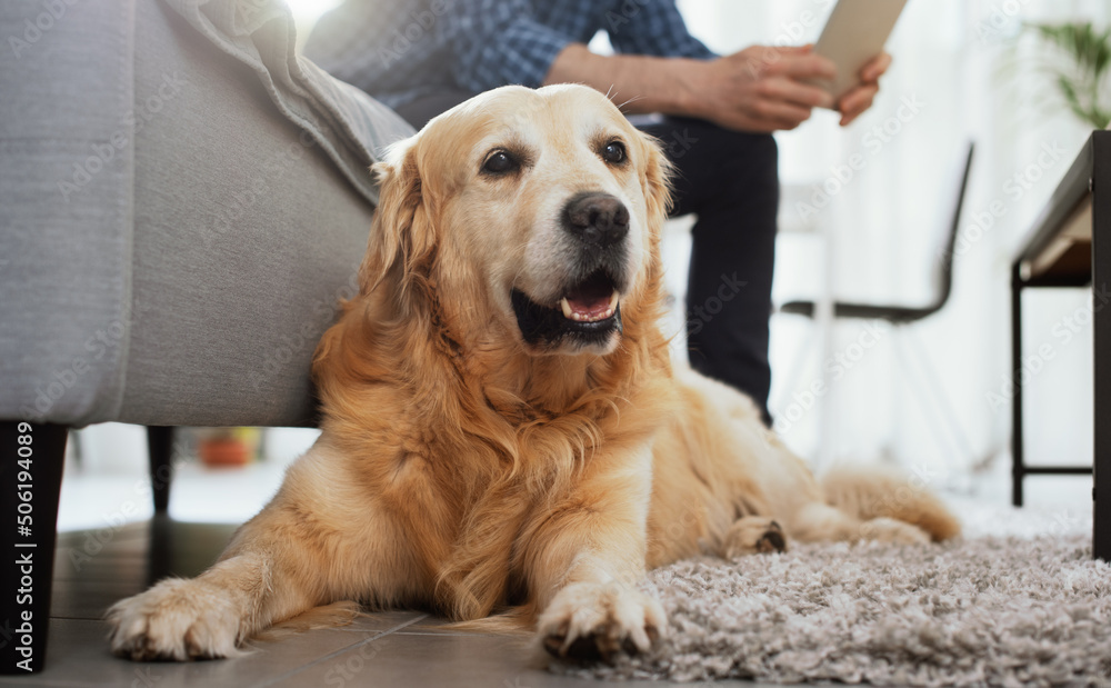 Man and his dog at home