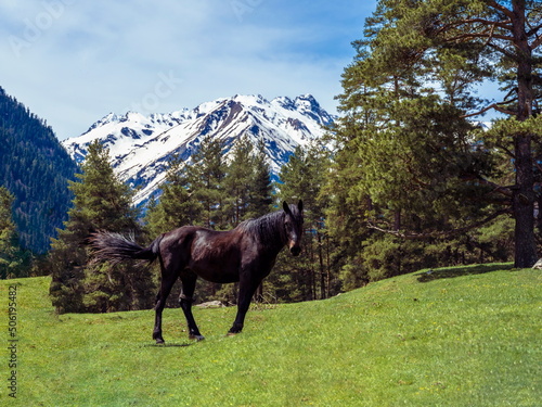 Caucasus mountains , Karachay - Cherkessia, Arhiz