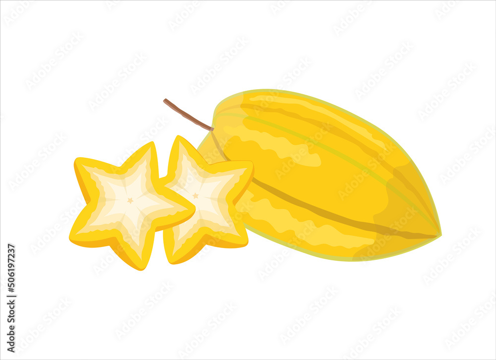 Carambola fruit, flat style vector illustration isolated on white background
