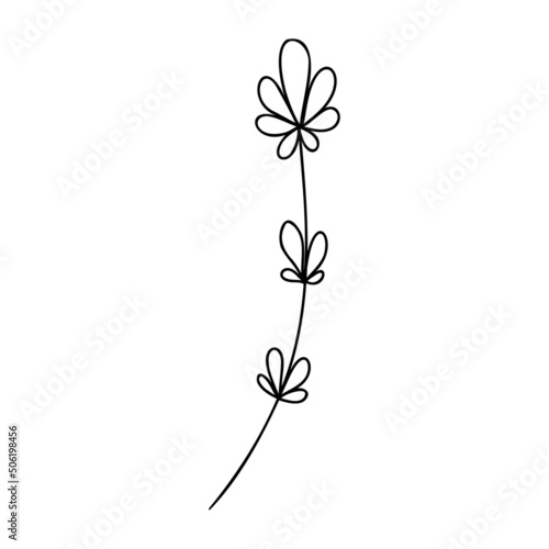 Hand drawn plant element  twig  grass isolated on a white background. Doodle  simple outline illustration. It can be used for decoration of textile  paper.
