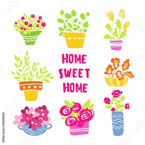 Flower pot set. A cute flowers in vases. Domestic plant