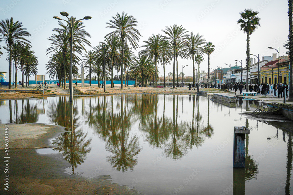 Paseo de la playa de la Patacona con reflejos de las palmeras en el agua tras las inundaciones. Paseo de la playa de la Patacona con reflejos de las palmeras en el agua tras las inundaciones.