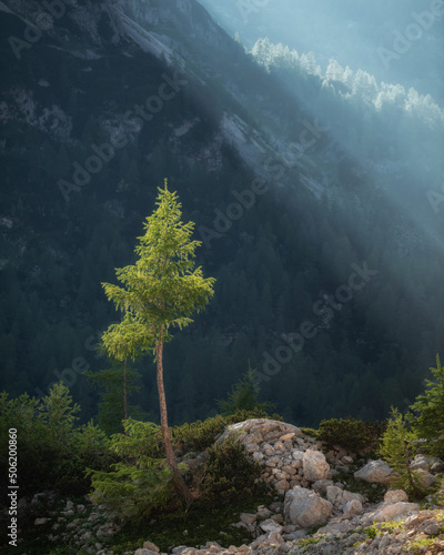 Beautiful day for hiking in the mountains photo