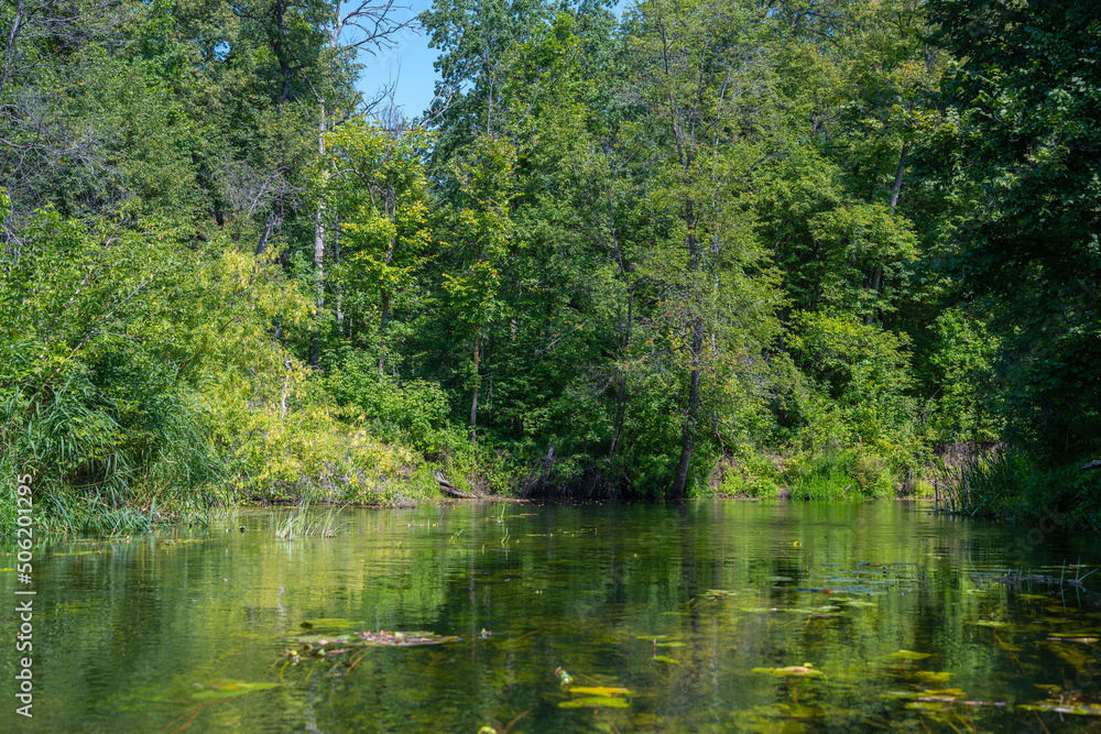 Beautiful summer landscape of the Small Cheremshan river with forest, banks, grass and current. The Ulyanovsk.