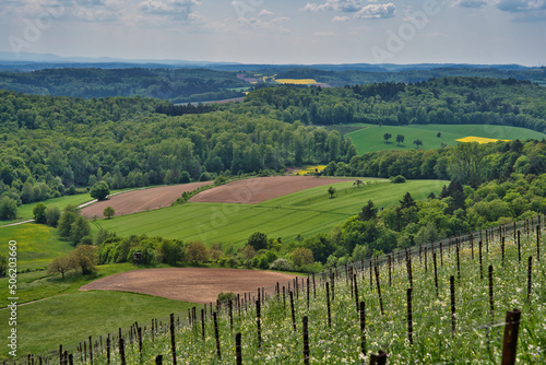 Kraichgau landscape  the Toscana of Germany  view over Eichelberg  Oestringen in May