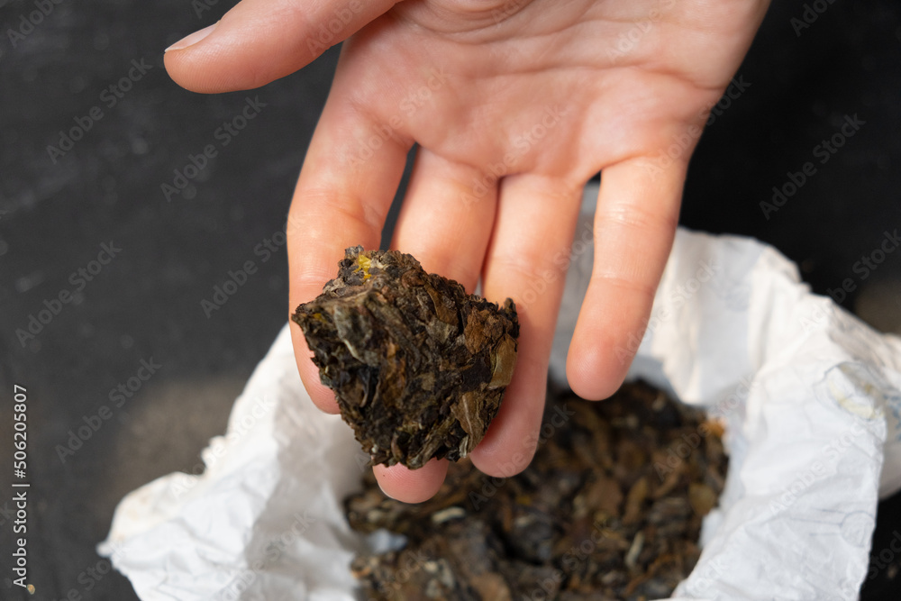 Luxury tea in paper with female hands on a dark vintage background. Tea ceremony concept Luxury tea in paper with female hands on a dark vintage background. Tea ceremony concept