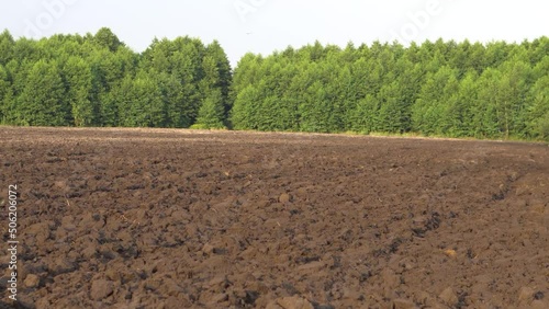 Plowed agricultural field for sowing. The process of preparing the soil before planting cereals, legumes, nightshade crops. Farming and food industry