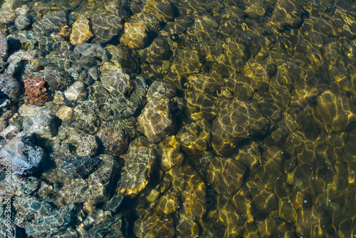 Transparent water of lake with stony bottom. Shallow seas.