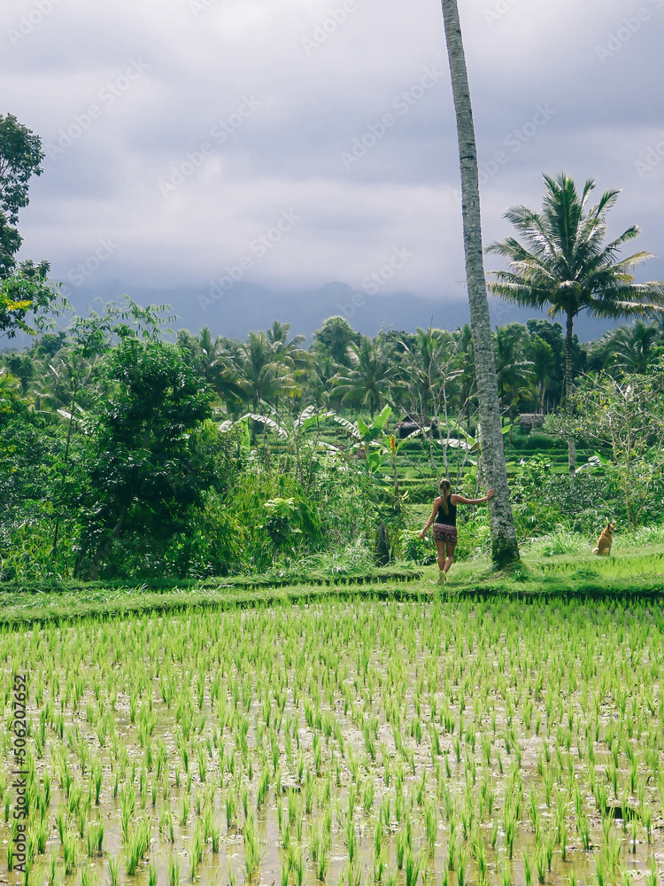 A girl in shorts leaning on a palm tree, surrounded by rice field terrace shining in bright green colors in Tetebatu. A dog accompanying the girl. Endless paddies of rice, spreading on great distances