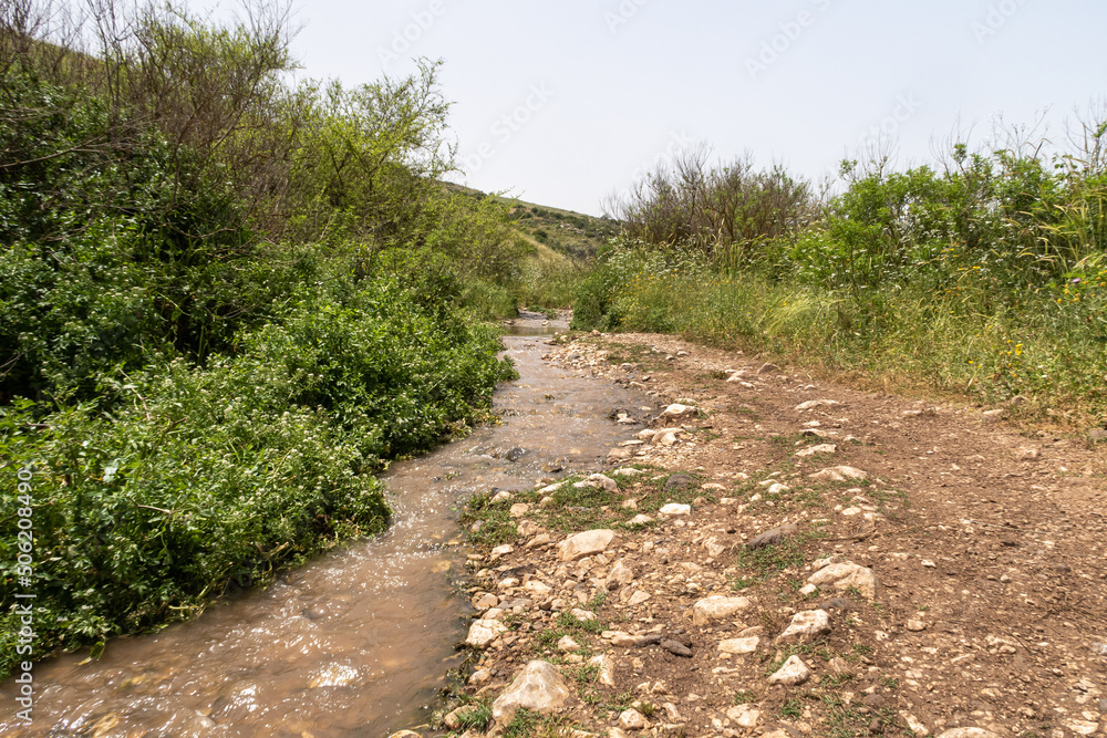 Fototapeta premium En Arbel Stream flows under Mount Arbel, located on the coast of Lake Kinneret - the Sea of Galilee, near the city of Tiberias, in northern Israel