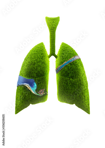 Abstract 3D lungs on a white background. grass lungs planet isolated (ID: 506208605)
