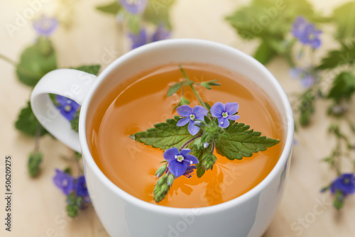 Herbal Tea from Veronica Chamaedrys for Herbal Medicine. Wild Herbal Teas