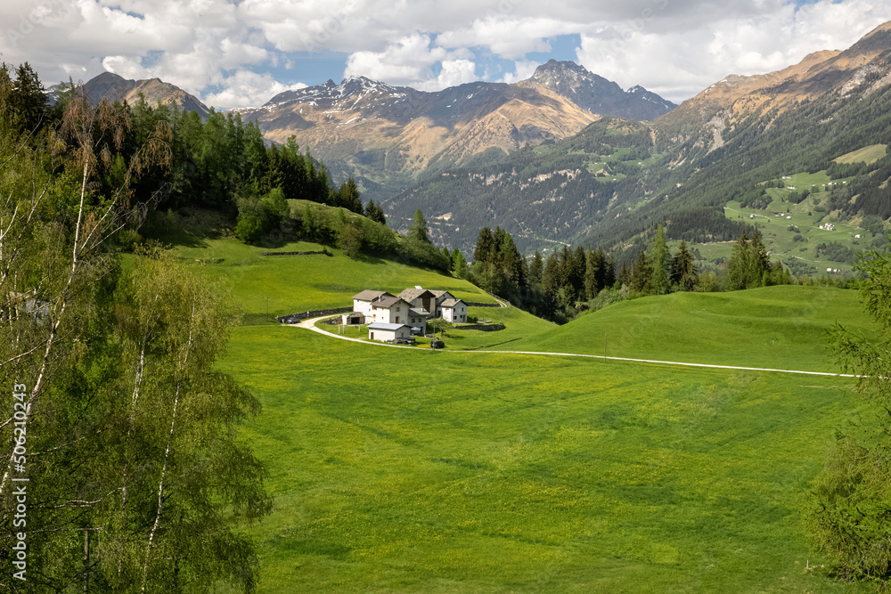 Beautifull view on the valley between mountains in Switzerland. Alp landscape. green alpine meadows blooming in spring time and the Alps mountains. Canton Graubunden, Swiss