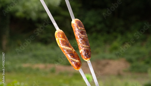 Quadro em tela Two sausages on a kebab skewer on the background of the forest.