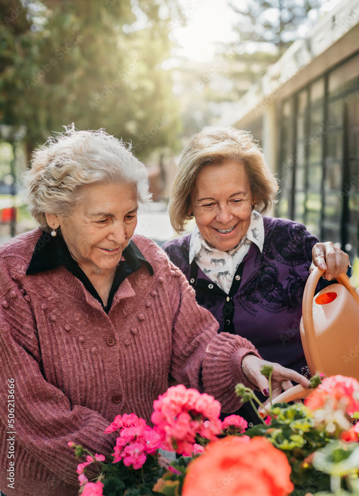 two elderly sisters water the flowers in their residence while smiling. concept of old age and happiness. two elderly sisters water the flowers in their residence while smiling. concept of old age and happiness.
