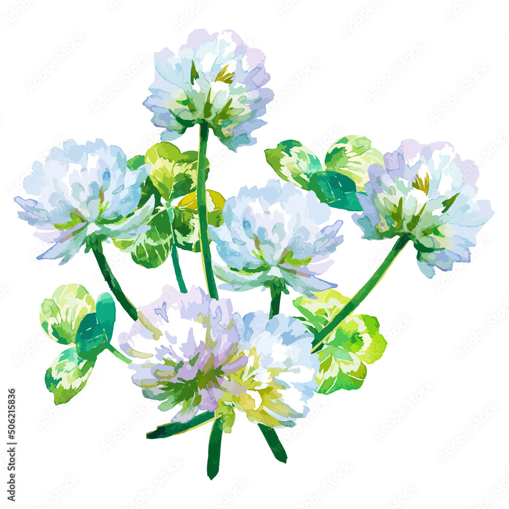 手描きイラスト シロツメクサ 女の子 水彩画 手描きイラスト シロツメクサ 女の子 水彩画