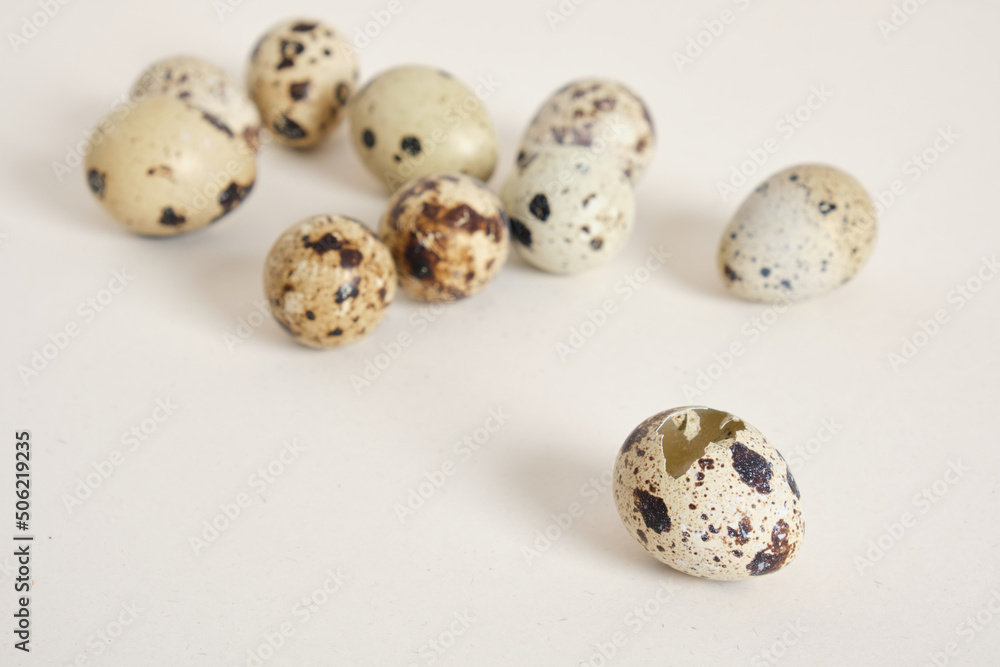 quail eggs in light texture background copy space