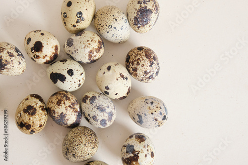 quail eggs on light texture background copy space