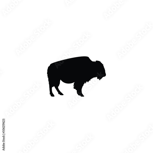 silhouette of buffalo 