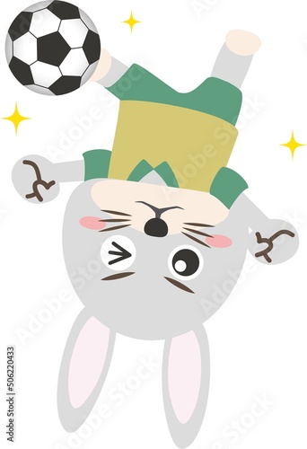 うさぎ　兎　卯年　動物　スポーツ　サッカー　ボール　オーバーヘッドキック