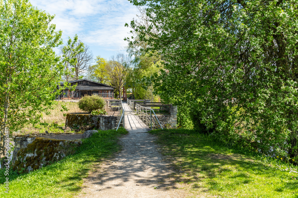 bridge in the park