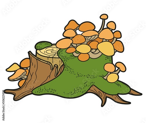 Big low stump with parasitic overgrowth toadstools and moss color variation for coloring page isolated on white background