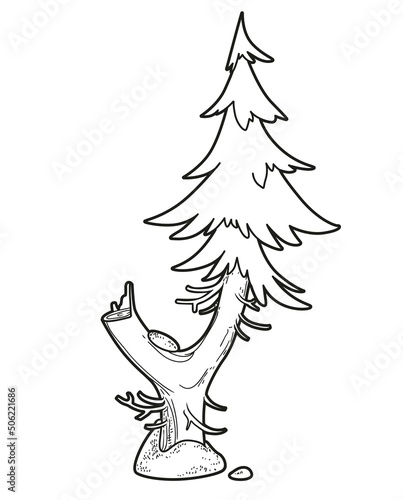 Spruce with fork and stump old tree linear drawing for coloring isolated on white background