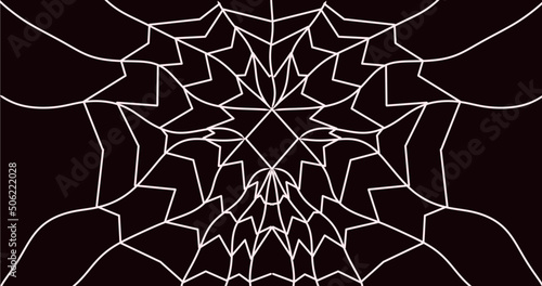 white spider web black background vector illustration