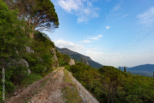Mountain trail among green hills on a warm summer's day, Dalmatia region. Croatia.
