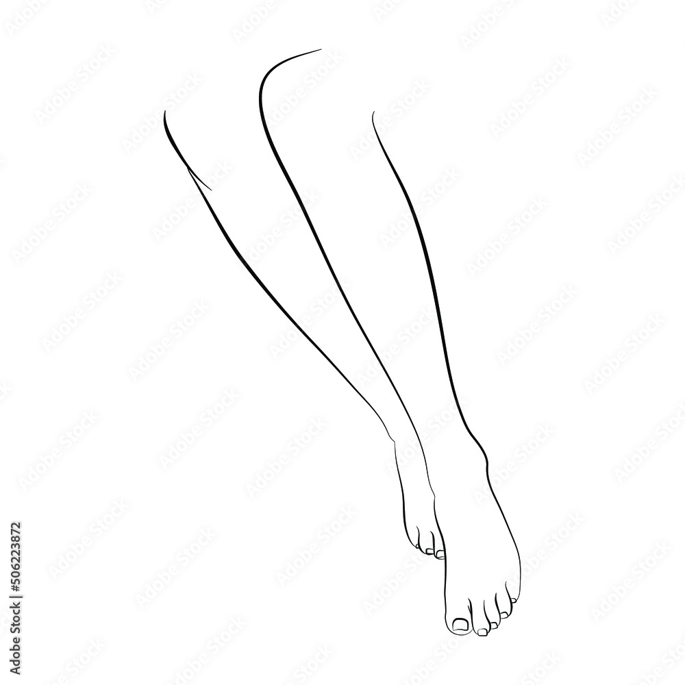 Vector illustration of woman's legs Vector illustration of woman's legs
