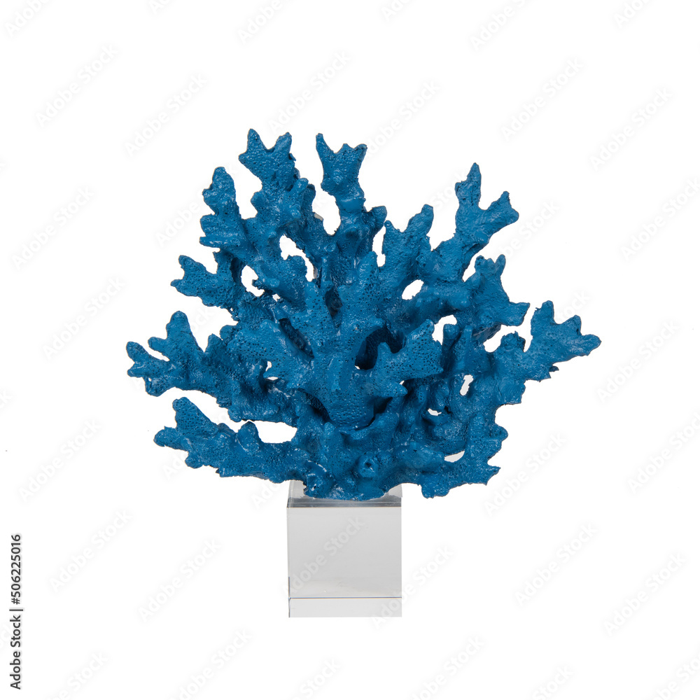 Naklejka premium abstract coral figure accessory isolated on white
