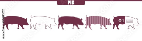 Pig farm animal. Livestock various flat icons set.