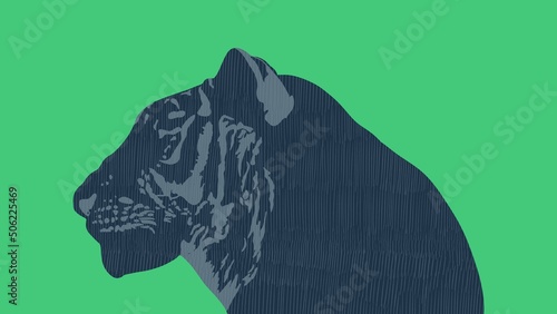 greenback Illustration of a profile of a tiger photo