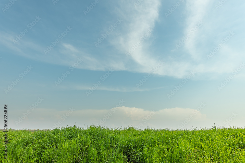 Background of sky and grass with blue sky and clouds.